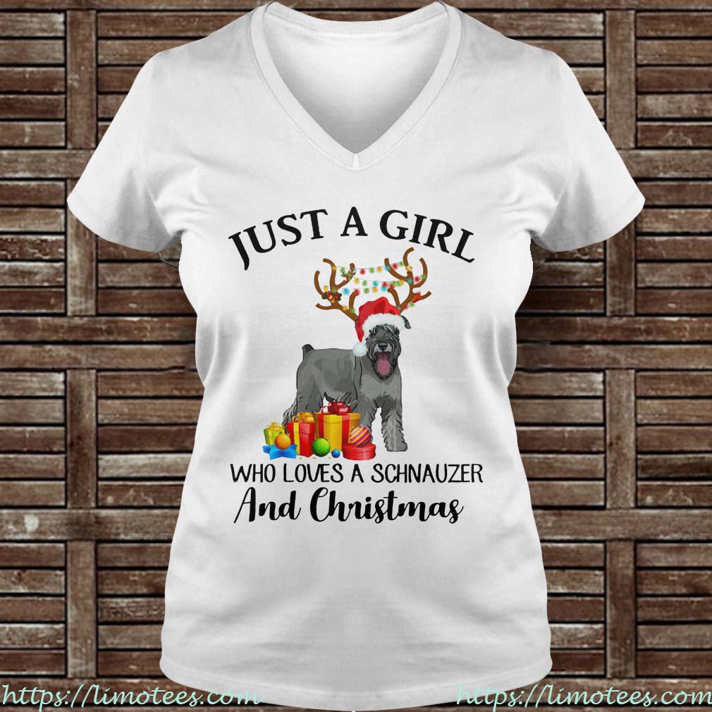 Just A Girl Who Loves A Schnauzer And Christmas Ladies V-neck