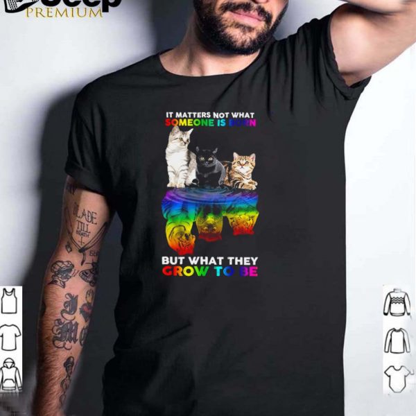 LGBT cats water reflection it matters not what someone is born but what they grow to be hoodie, tank top, sweater