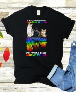 LGBT cats water reflection it matters not what someone is born but what they grow to be hoodie, tank top, sweater