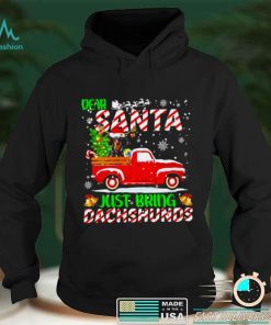 Dear santa just bring dachshunds merry christmas shirt