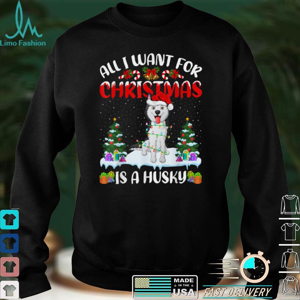 Funny Santa Hat All I Want For Christmas Is A Husky T Shirt