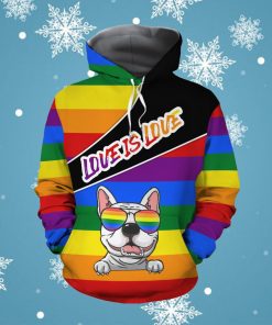 Love is Love Cute Rainbow Puppy Custom Name 3D All Over Print Hoodie Shirt For LGBTQ Gay Lesbian Trans Bisexual In Pride Month