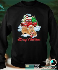 Merry Christmas Funny Santa Pekingese Dog Lover Christmas T Shirt