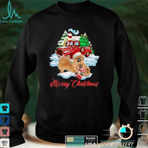 Merry Christmas Funny Santa Pekingese Dog Lover Christmas T Shirt