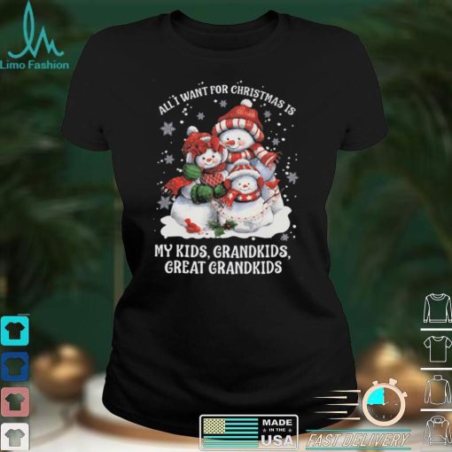 All I Want For Christmas Is My Kids Grandkids And Great Grandkids T shirt