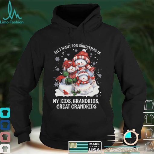 All I Want For Christmas Is My Kids Grandkids And Great Grandkids T shirt