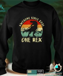 1 Rex 1st Birthday Shirt Third Dinosaur 1 Year Old T Shirt