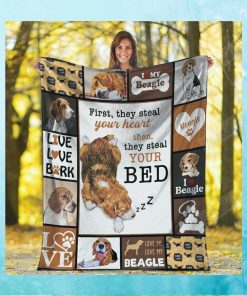 Beagle   They steal your heart then they steal your bed   Quilt
