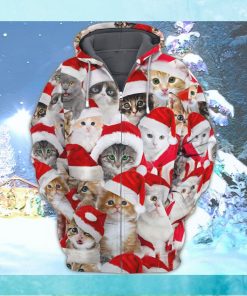 Cats and christmas hat christmas