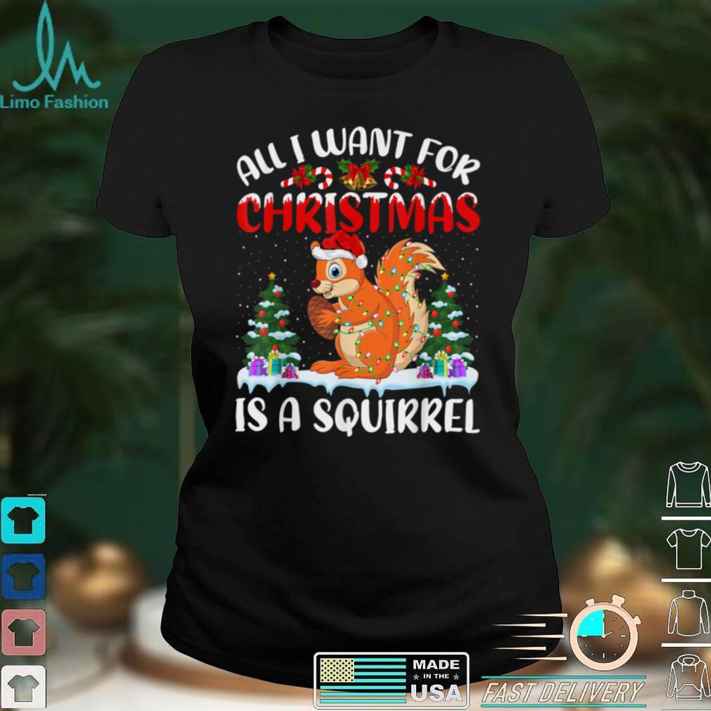 Funny Santa Hat All I Want For Christmas Is A Squirrel T Shirt hoodie, Sweater Shirt
