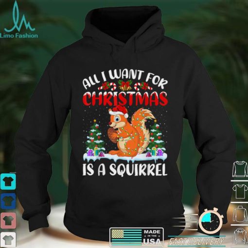 Funny Santa Hat All I Want For Christmas Is A Squirrel T Shirt hoodie, Sweater Shirt