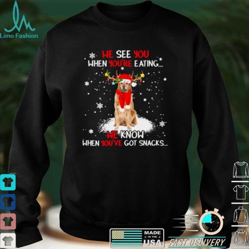 Official Hovawart we see You when youre eating we know when youre got snacks Christmas shirt hoodie, sweater Shirt