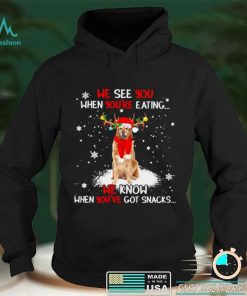 Official Hovawart we see You when youre eating we know when youre got snacks Christmas shirt hoodie, sweater Shirt