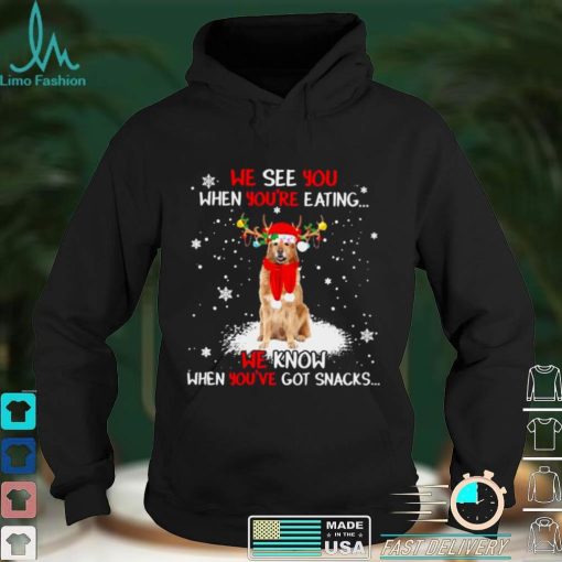 Official Hovawart we see You when youre eating we know when youre got snacks Christmas shirt hoodie, sweater Shirt