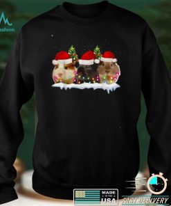 Official Official Christmas guinea pig Shirt hoodie, sweater