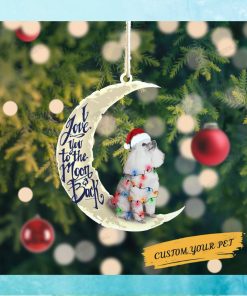 Pet Christmas Led Lights And Moon Personalized Wooden Ornament