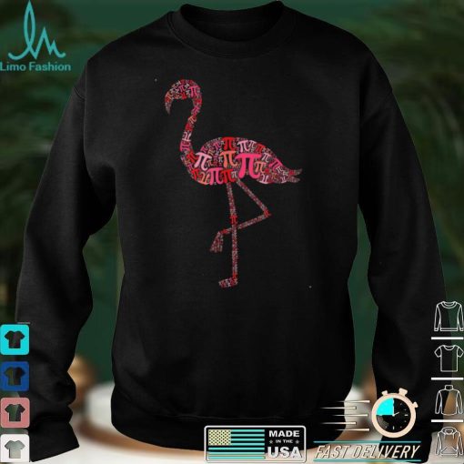 Flamingo Mathematics Math Teacher Pi Day T Shirt