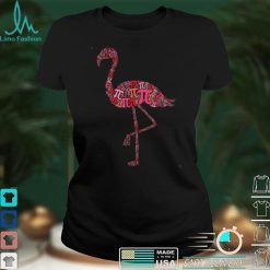 Flamingo Mathematics Math Teacher Pi Day T Shirt