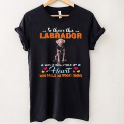 Official a Dog Kinda Stole My Heart So Theres This Silver Labrador Who Kinda Stole My Heart Who Calls Me Woof Mom Shirt