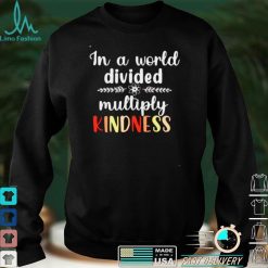 In a world divided multiply kindness shirt