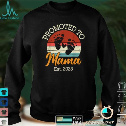 Womens Promoted To Mama 2023 Pregnancy Announce Reveal T Shirt