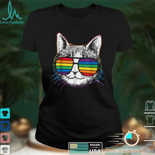 LGBTQ Purride Ally Gay Pride Rainbow Flag Cat Kitten Lover T Shirt tee
