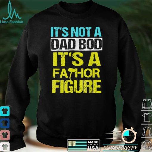 Mens Its not a dad bod Its a Fathor Figure T Shirt