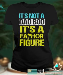 Mens Its not a dad bod Its a Fathor Figure T Shirt