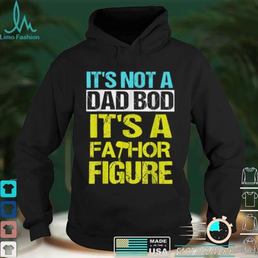 Mens Its not a dad bod Its a Fathor Figure T Shirt