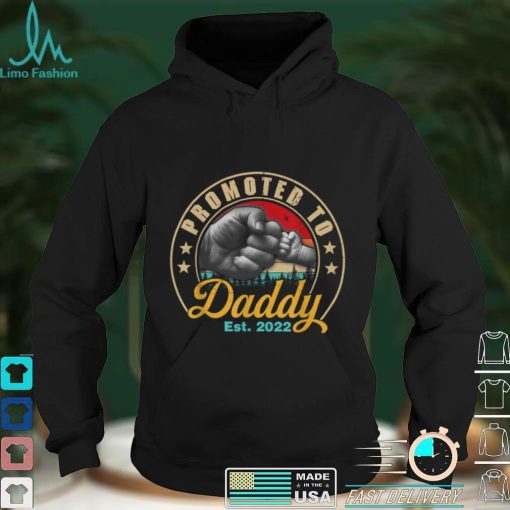 Promoted To Daddy Est 2022 Men Vintage First Time Dad Papa T Shirt
