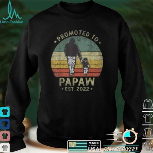 Mens Promoted to Papaw Est 2022 Vintage First Time Papaw T Shirt