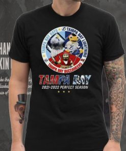 Rays And Lightning And Buccaneers 2022 Perfect Season Tampa Bay Rays T Shirt