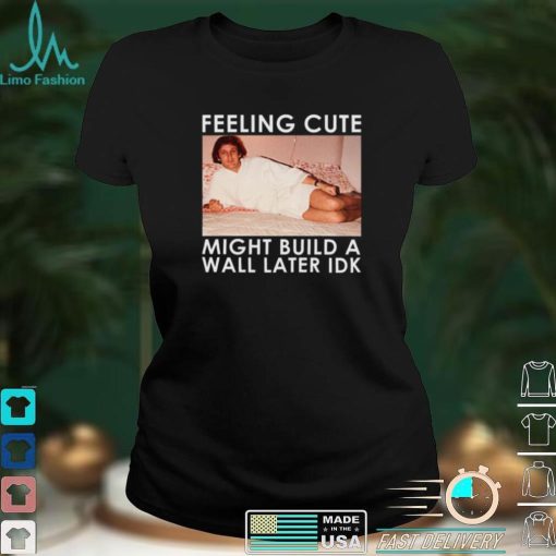 Feeling Cute Might Build a Wall Later Idk Shirt, Hoodie