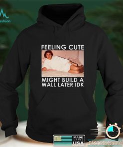 Feeling Cute Might Build a Wall Later Idk Shirt, Hoodie