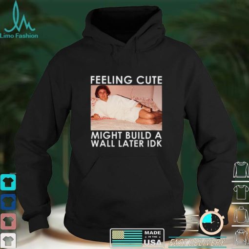 Feeling Cute Might Build a Wall Later Idk Shirt, Hoodie