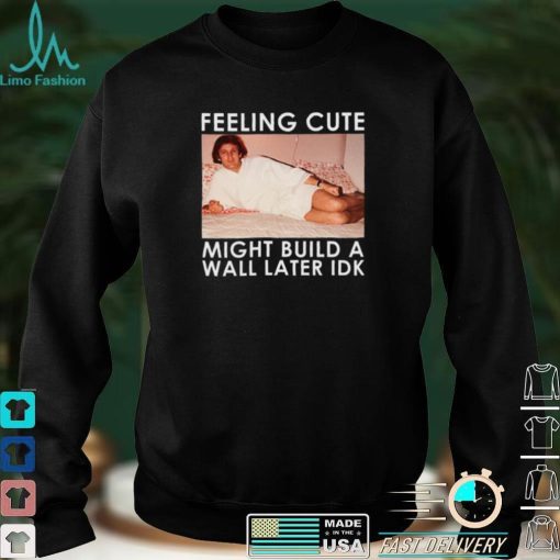 Feeling Cute Might Build a Wall Later Idk Shirt, Hoodie