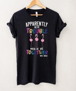 Flamingos Apparently We’re Trouble When We Are Together Who Knew Shirt, Hoodie