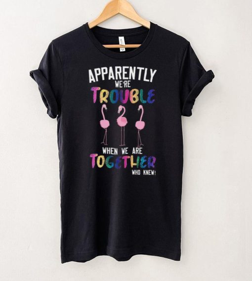 Flamingos Apparently We’re Trouble When We Are Together Who Knew Shirt, Hoodie