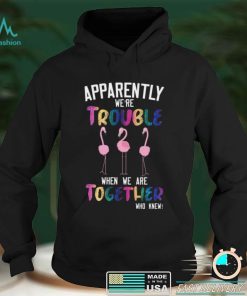 Flamingos Apparently We’re Trouble When We Are Together Who Knew Shirt, Hoodie