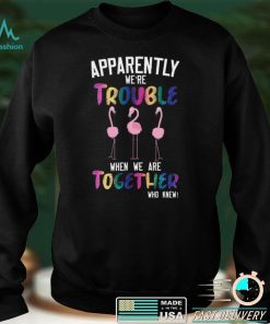 Flamingos Apparently We’re Trouble When We Are Together Who Knew Shirt, Hoodie