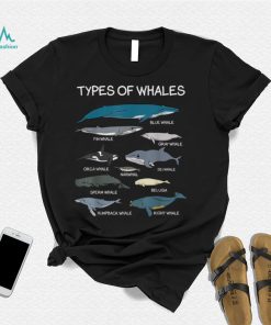 Types Of Whales Cute Ocean Mammals Dolphins Educational T Shirt