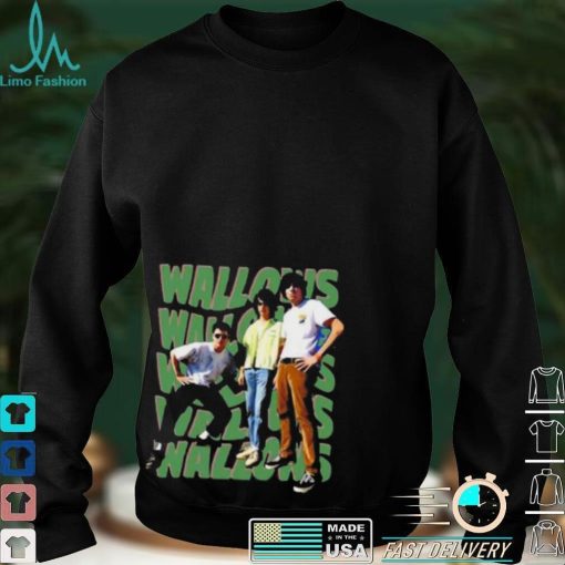 Wallows Pop Band Rock Gift For Fans Shirt