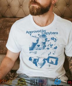 Approved By Capybara Funny T Shirt3