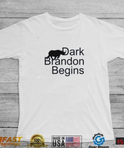 Dark Brandon Begins Political Shirt, Let’s Go Brandon shirt, Go Brandon Funny Shirts, Go Biden Shirt