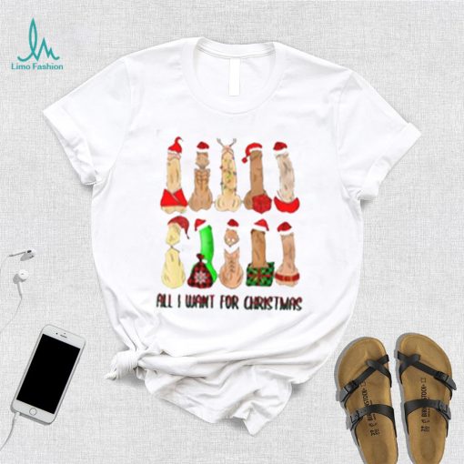 All I Want For Christmas Dirty Santa Funny T Shirt