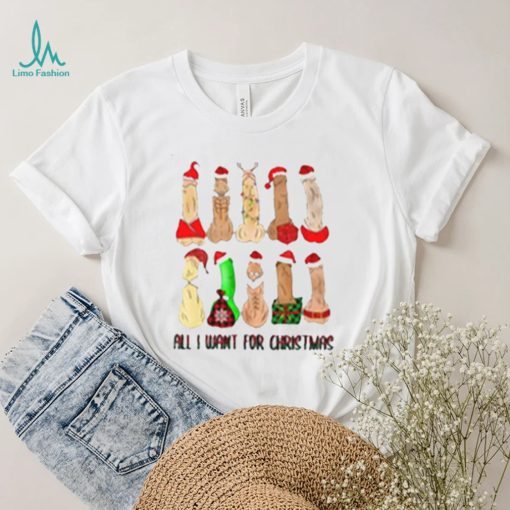 All I Want For Christmas Dirty Santa Funny T Shirt