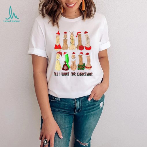 All I Want For Christmas Dirty Santa Funny T Shirt