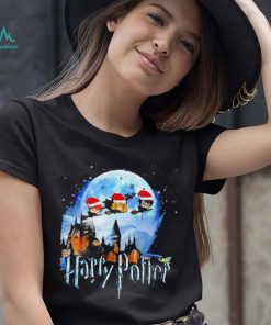 Harry Potter and Friends Santa Merry Christmas Hogwarts shirt