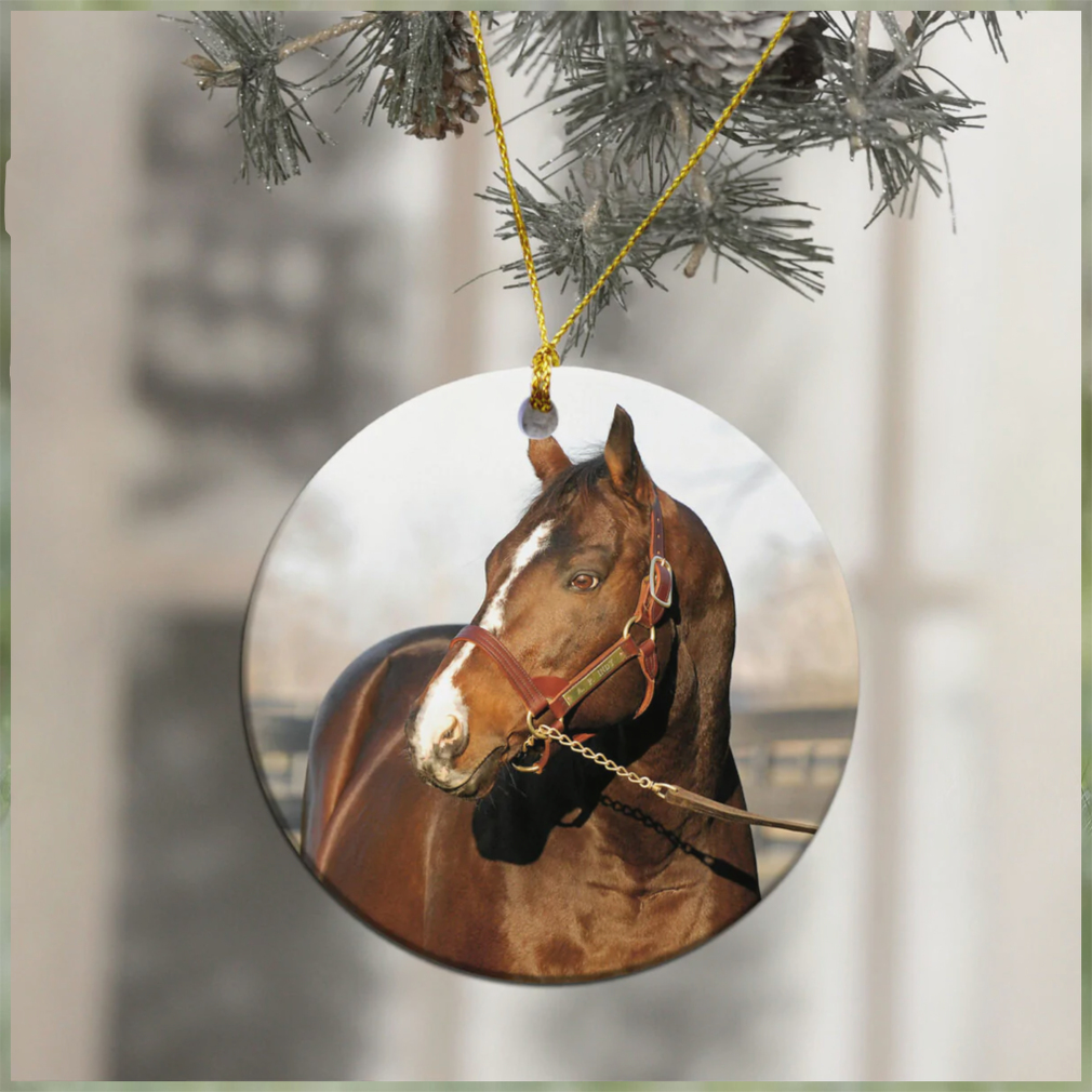 Love Horse Round Mica Ornament 3