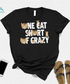 Cat one cat short of crazy shirt, hoodie, sweater, long sleeve and tank top Cat one cat short of crazy shirt